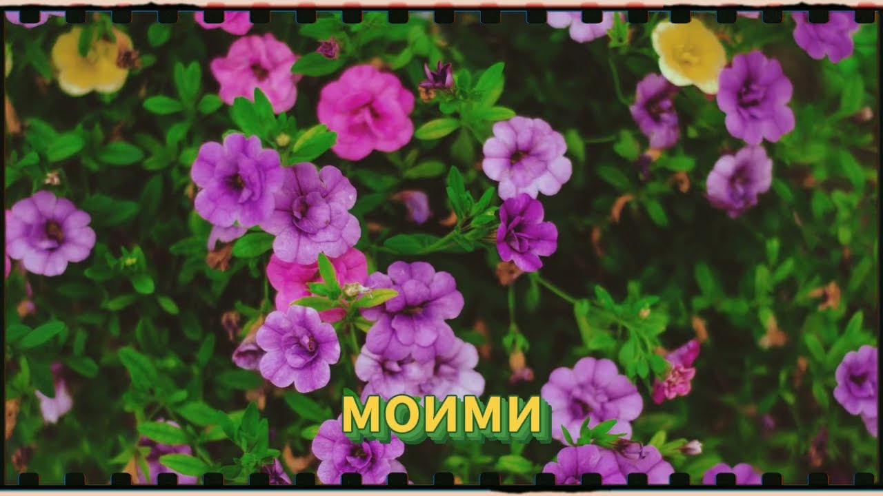 ЗЯТЬ ВЫРУЧИЛ ТЁЩУ ТАМ, ГДЕ ДРУГИЕ НЕ СПРАВИЛИСЬ!