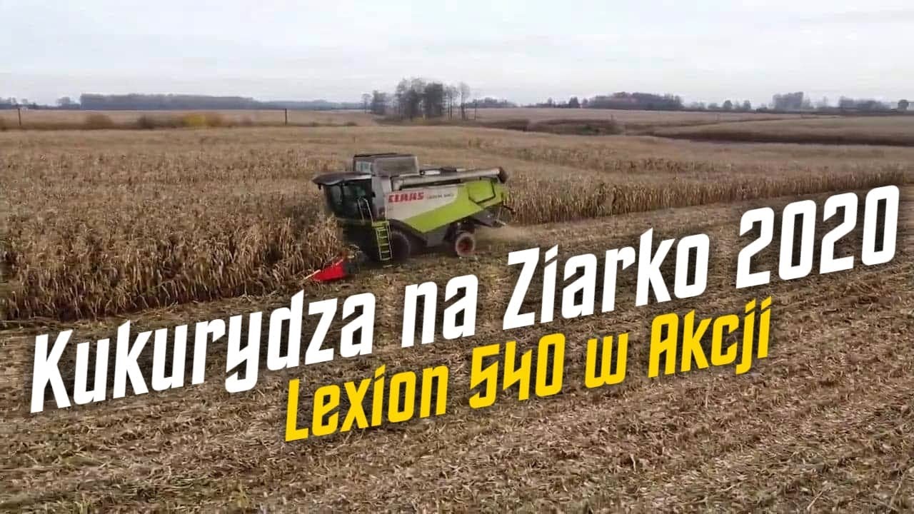 Kukurydza na ziarno 2020. Claas Lexion 540 W Akcji!