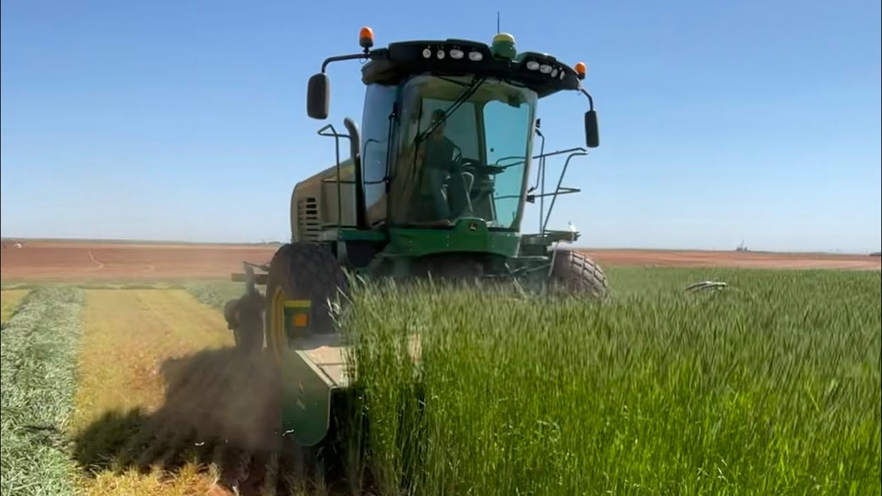 Cutting hay