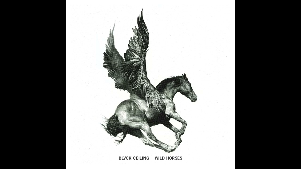 BLVCKCEILING - WILD HORSES (2020)