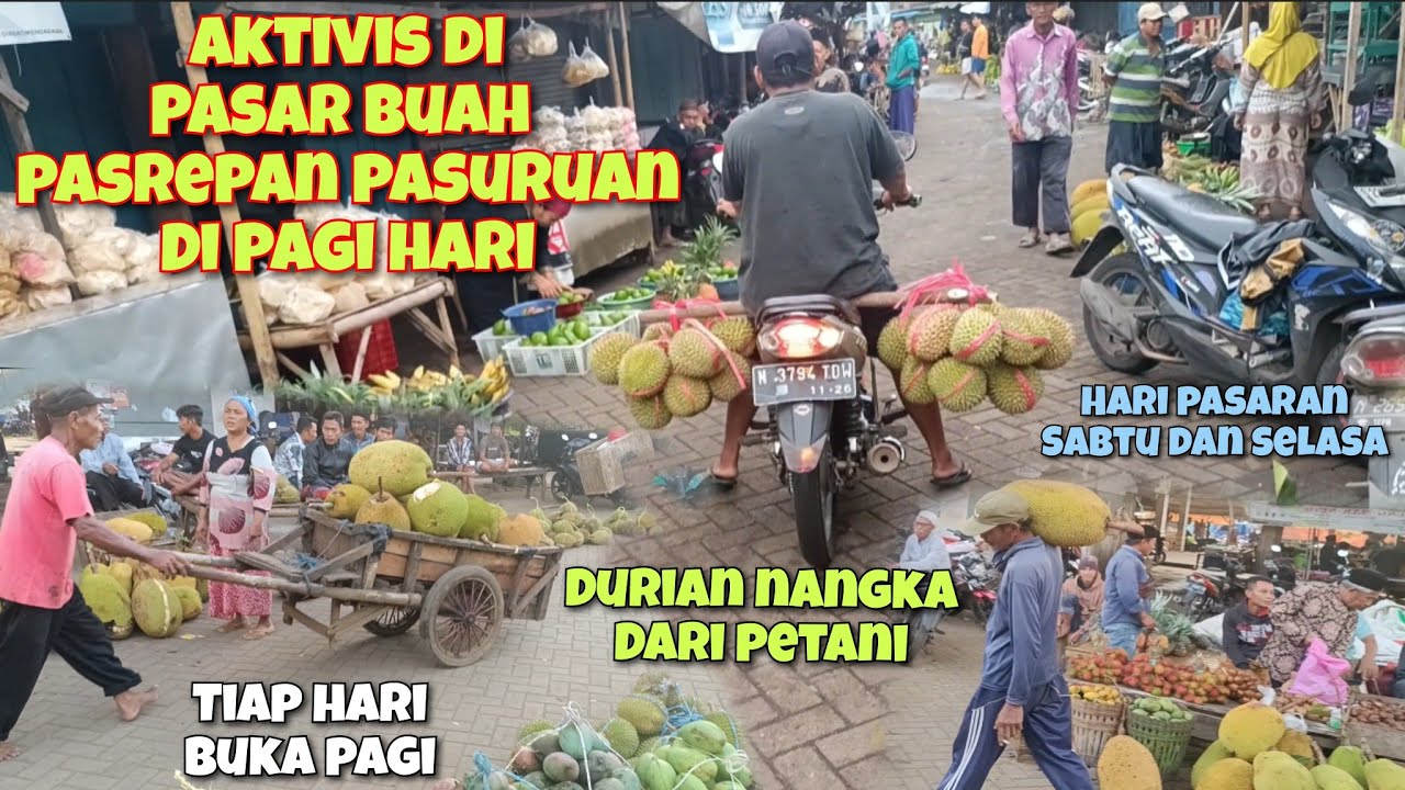KONDISI PASAR BUAH PASREPAN DI PAGI HARI BANYAK PARA PETANI BAWA DAGANGAN KE PASAR || CUPLIKAN VIDIO
