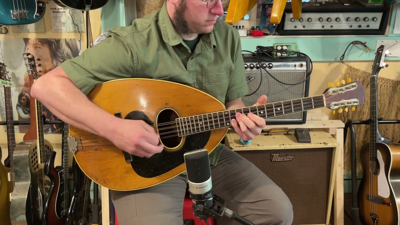 1913 Weymann Mandolute mandocello