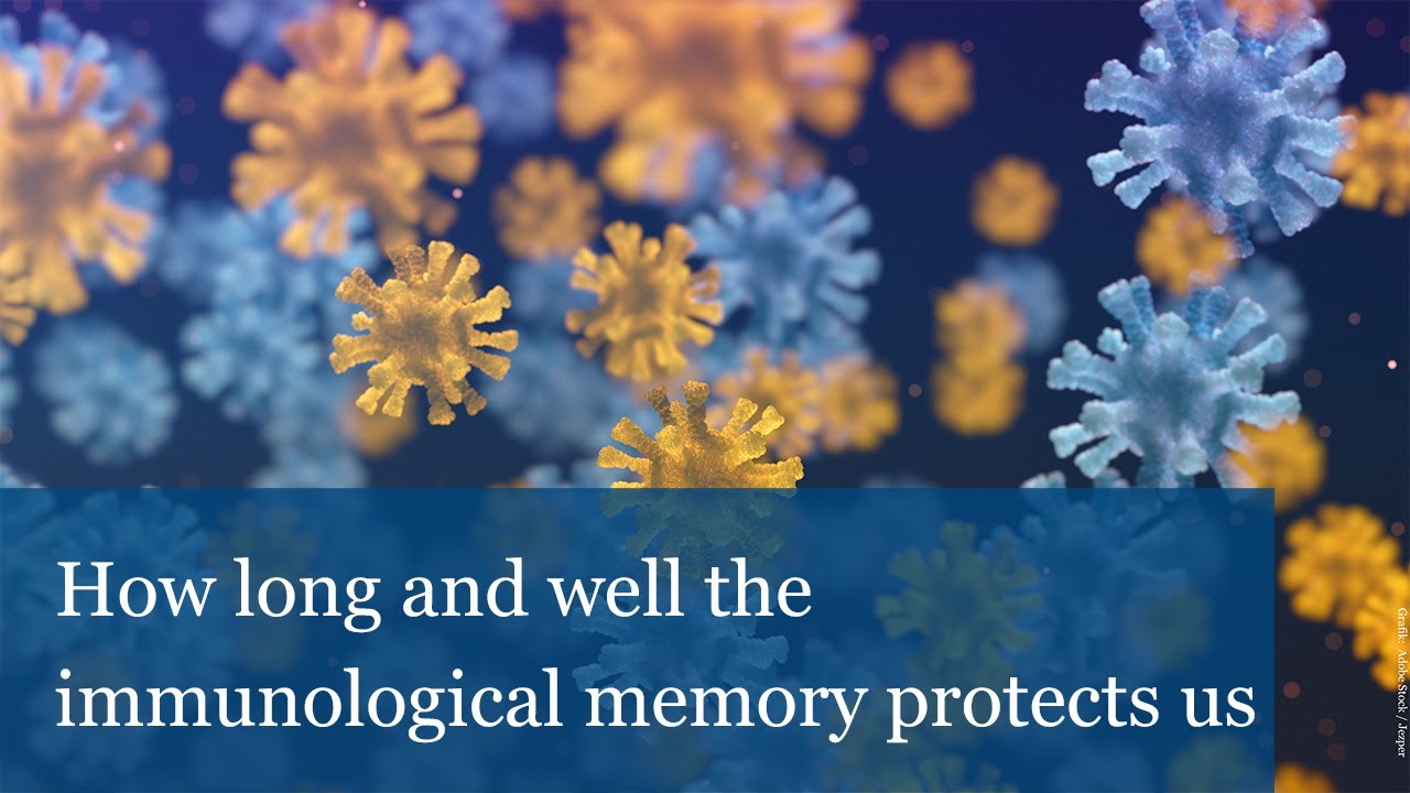 Covid-Symposium: How long and well the immunological memory protects us
