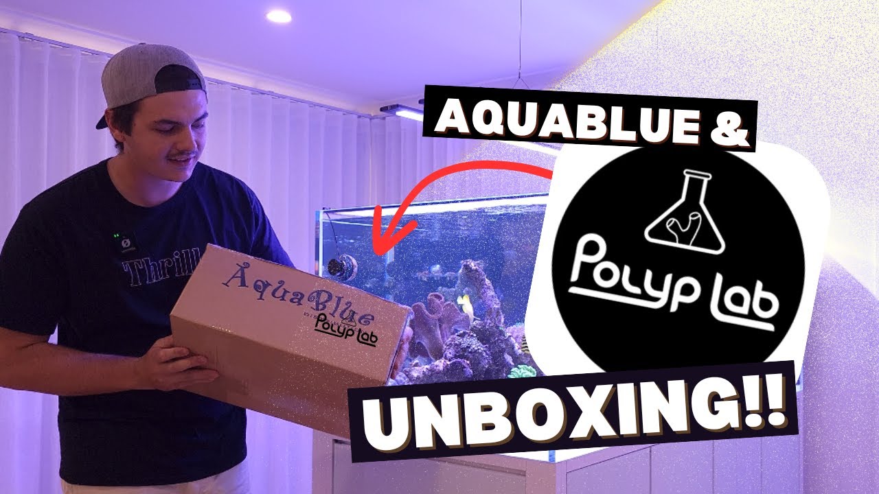 POLYP LAB UNBOXING! Secret weapon to optimise health, coloration, and growth in your reef tank!