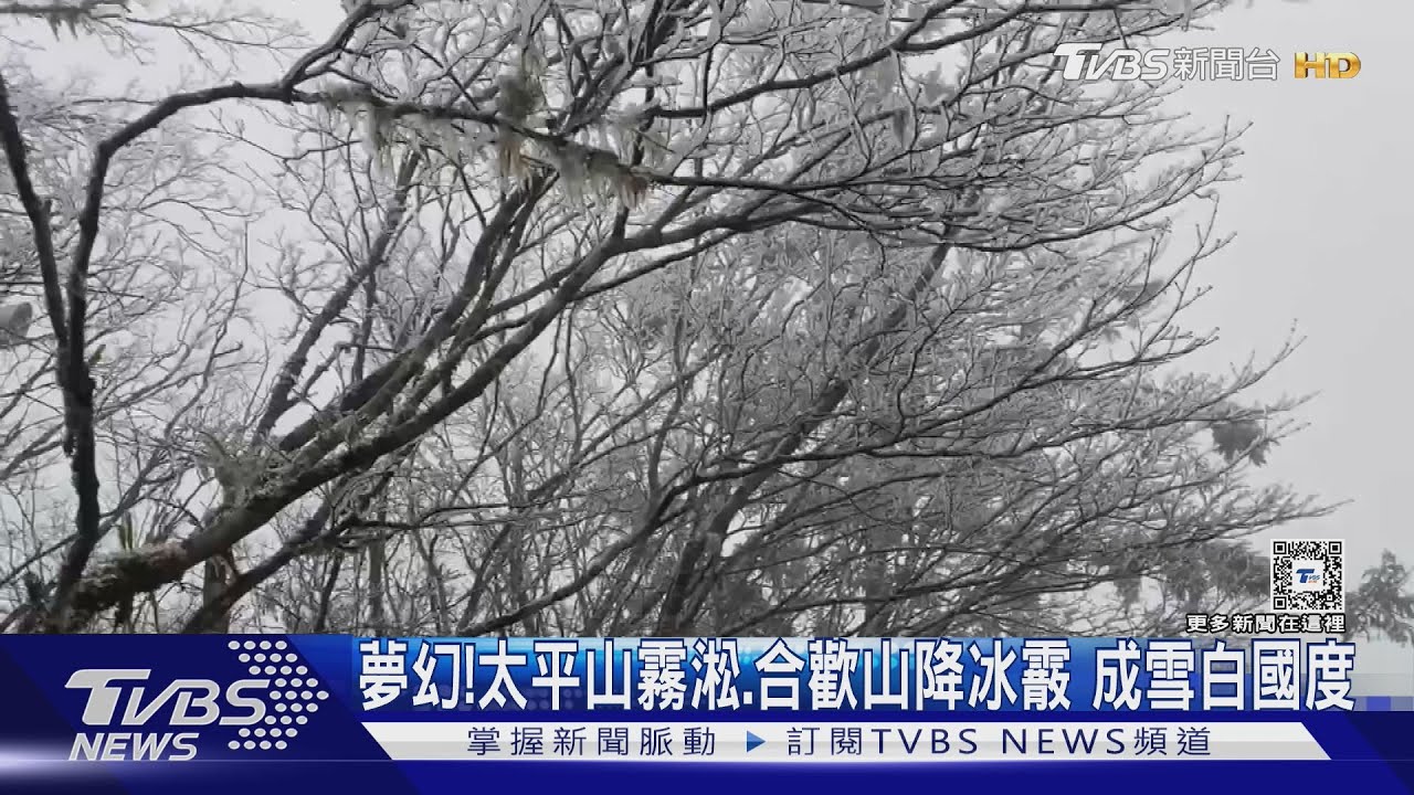 夢幻!太平山霧淞.合歡山降冰霰 成雪白國度｜TVBS新聞 @TVBSNEWS01
