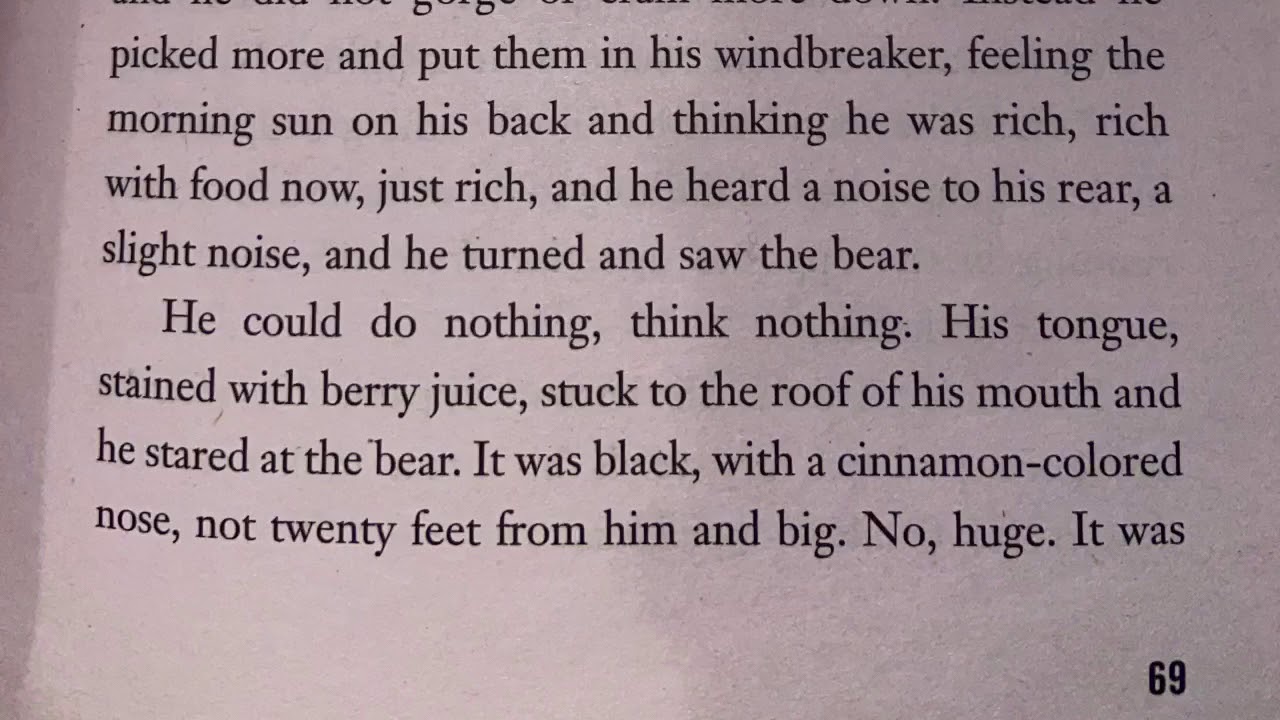 Hatchet Chapter 7