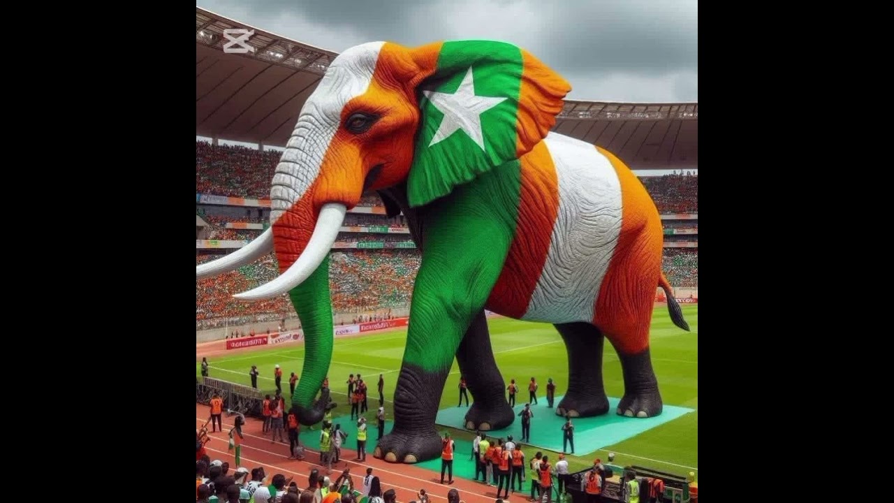 @Allez les Éléphants !