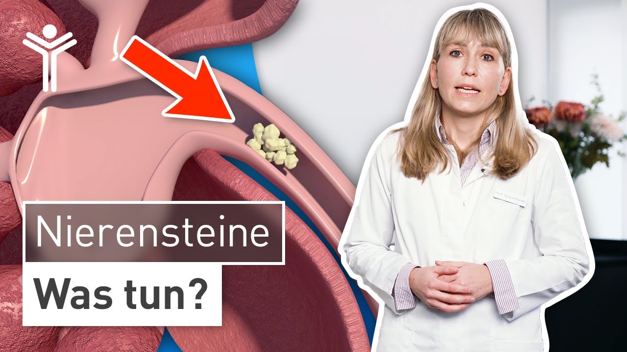 Nierensteine - Ursachen & Tipps zur Vorbeugung