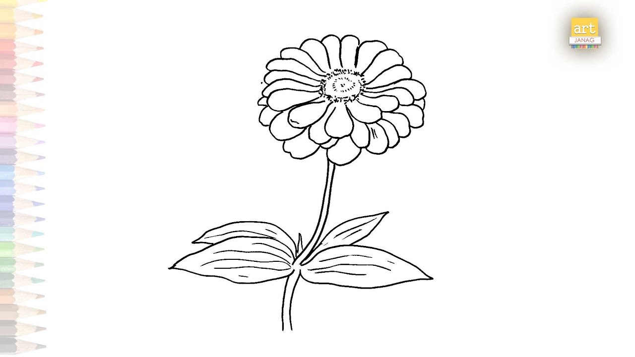 Zinnia flower drawing easy | Art tutorial | How to draw A Zinnia flower step by step | #artjanag