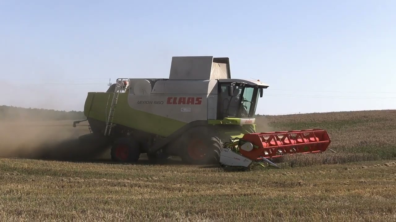 Kombajn Claas Lexion 560 👉 Gospodarstwo Januszewscy