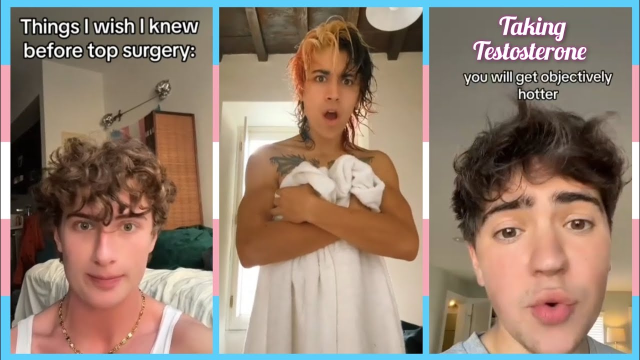 trans tiktoks because man I love all these creators!! (it's not just rosemary I promise qwq)