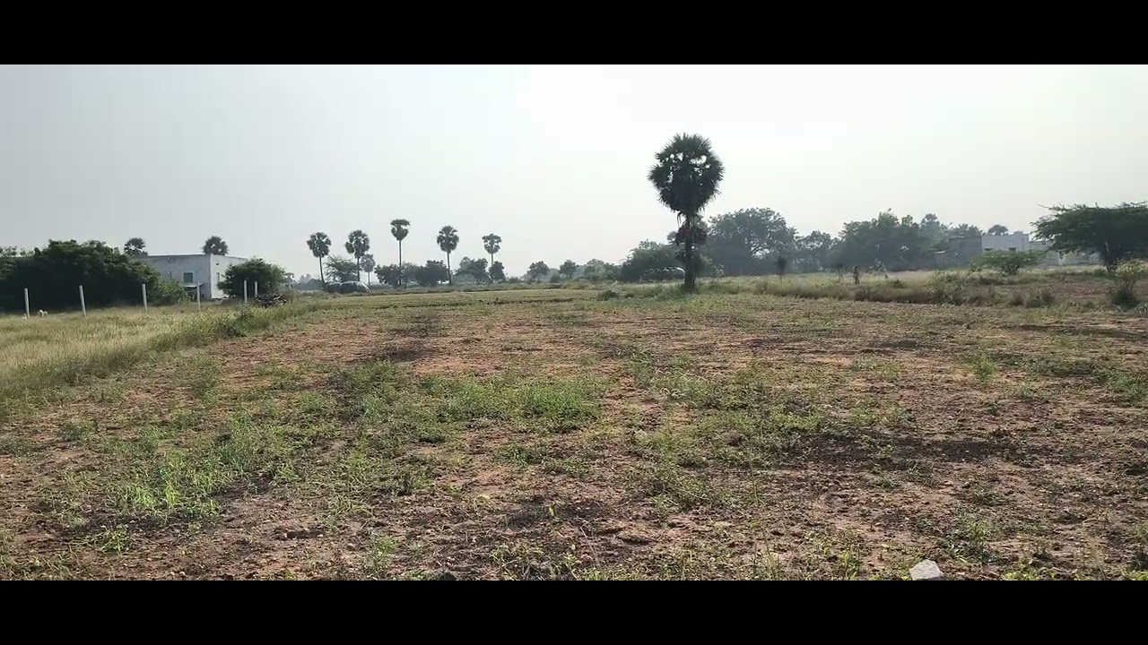 ஈரோடு மாவட்டம் பெருந்துறை வட்டம் குன்னத்தூர் அருகில் 33 செண்ட் காலி நிலம் விற்பனைக்கு  9585376767