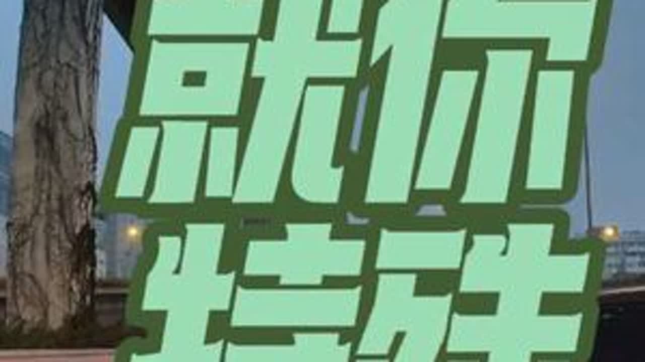 每日小曲儿，就你特殊#开车 #理想车主 #理想汽车 #方程豹豹5 #风车豹