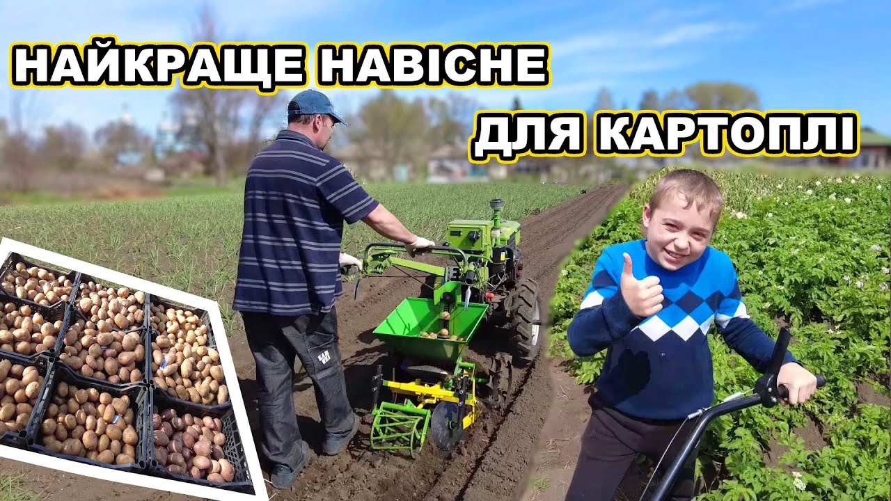 Сезон картоплі 2025 за 8 хвилин !!!
