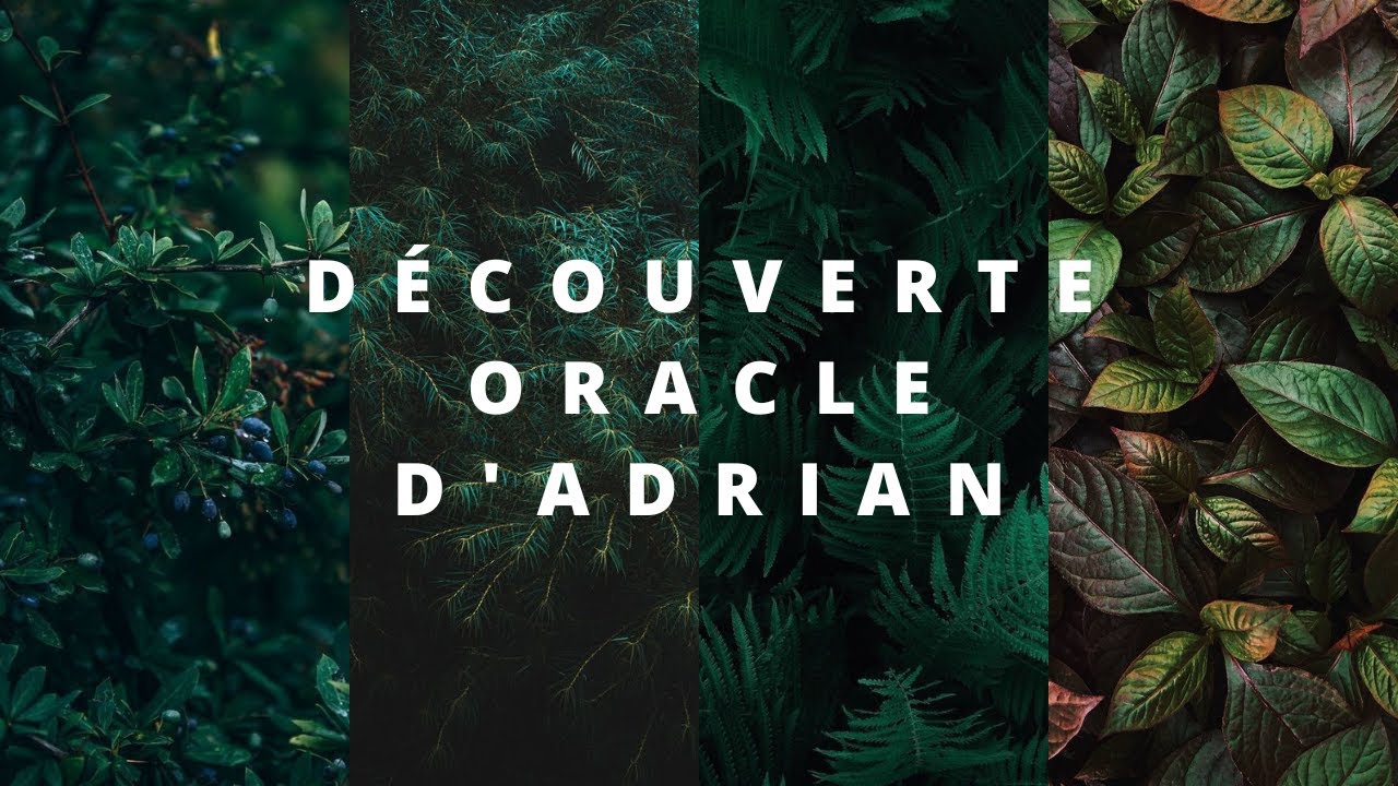 Présentation de L'Oracle d'Adrian 🎴🌈