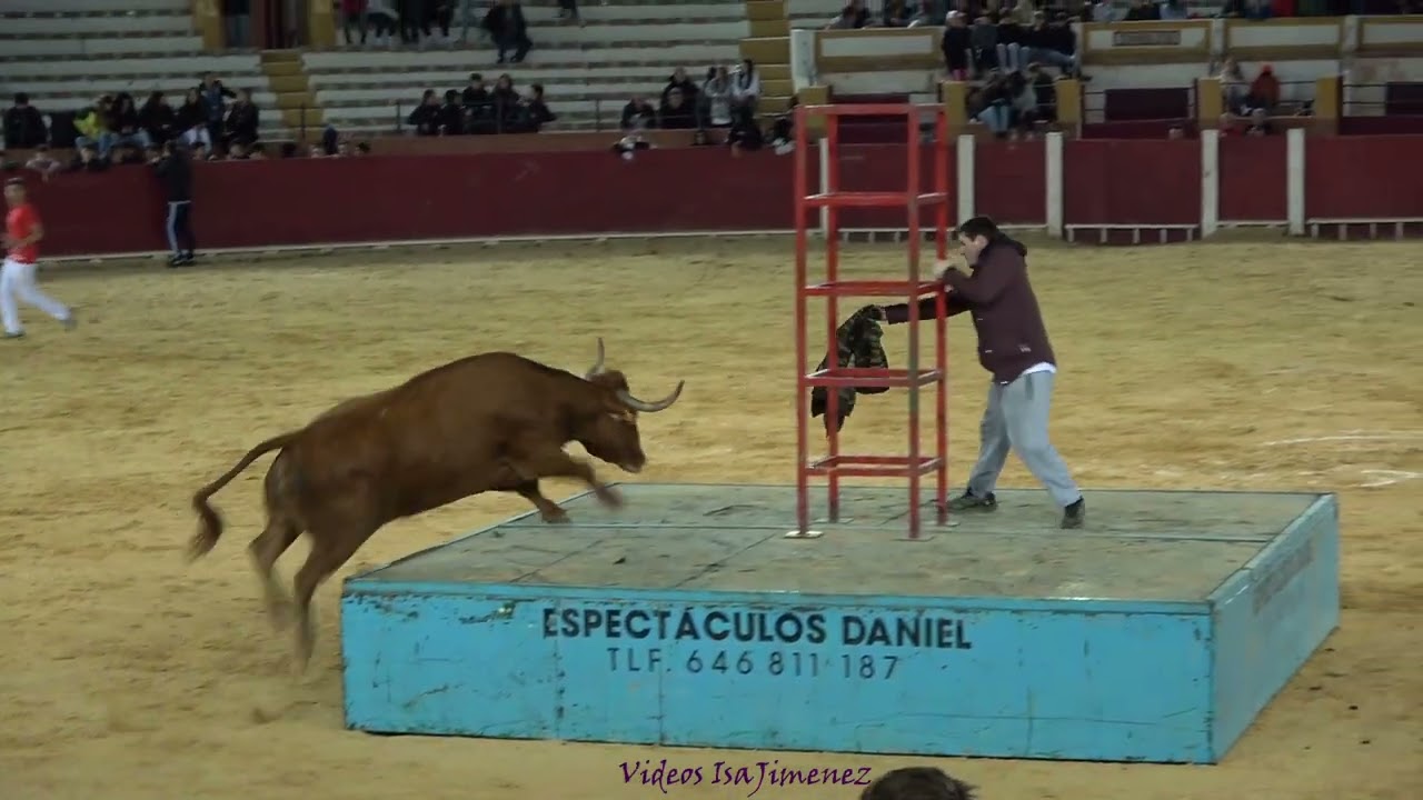 Teruel - Suelta de vaquillas - Especial Hnos. Ozcoz - 01/11/2023 - HD