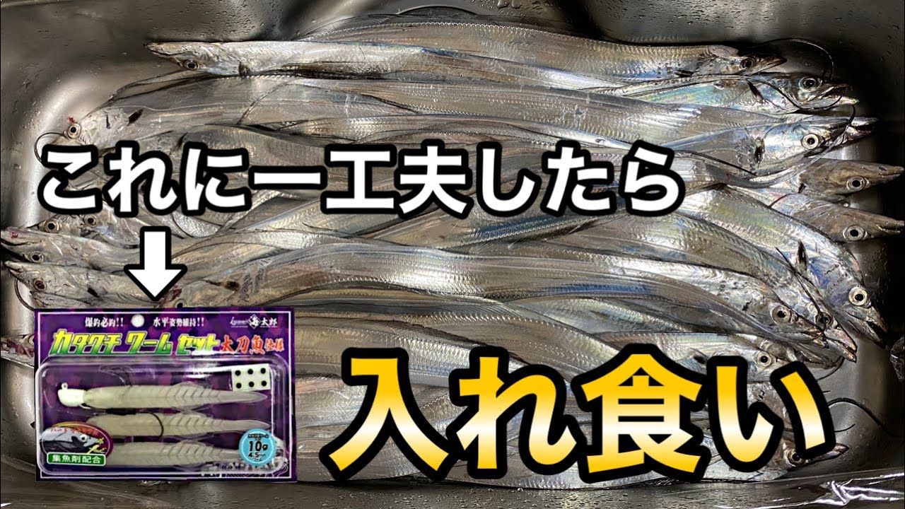 堤防からタチウオが入れ食いになりました。