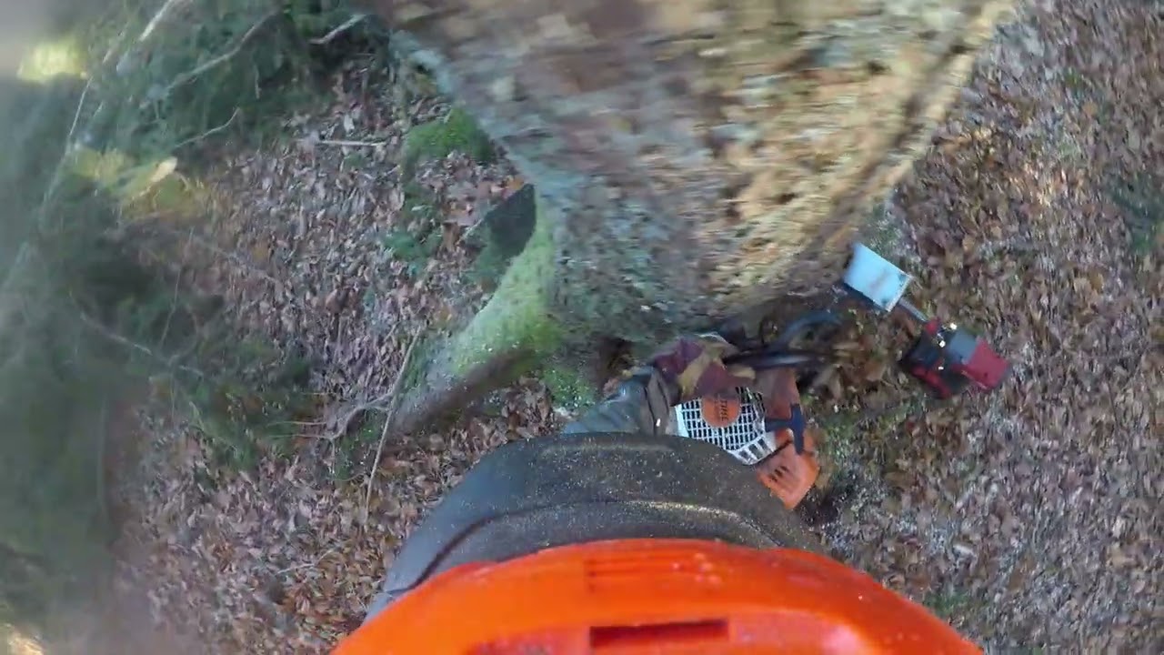Erstes Video auf dem Kanal! Schneiden mit der Stihl ms 500i