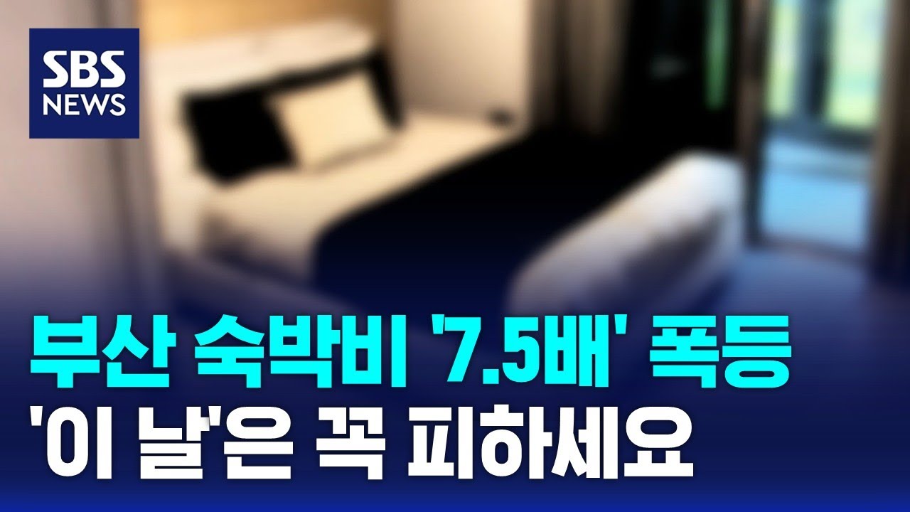 부산 숙박비 '7.5배' 폭등…'이 날'은 꼭 피하세요 / SBS