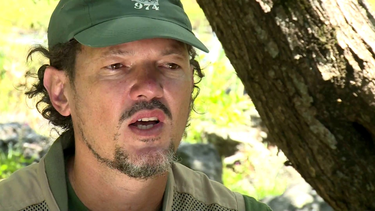 Alon tâte zanguille