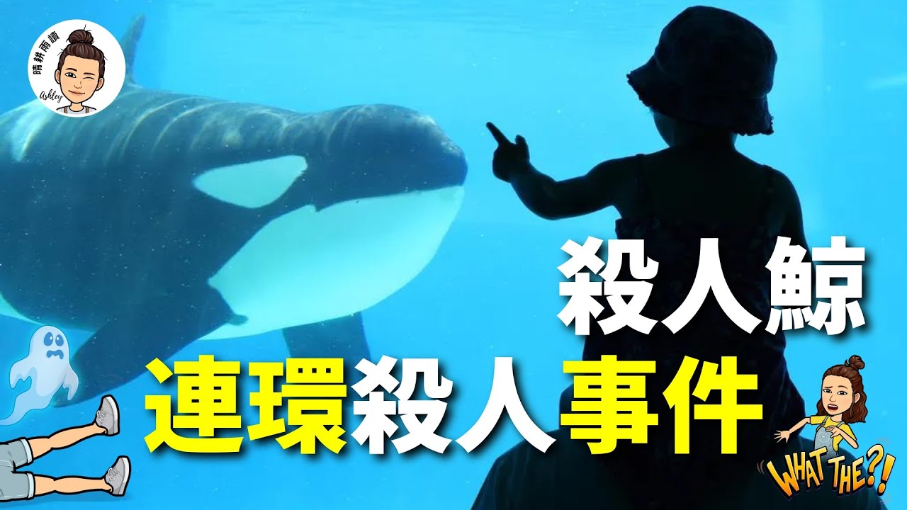 【真相】它是世界上最知名的殺人鯨！被囚禁33年，徹底發瘋，從人類的「朋友」變成了殺害3個人的「兇手」！虎鯨提里庫姆的悲劇是怎樣釀成的？背後的真相是什麽？【晴耕雨讀｜Ashley】#虎鯨 #自由 #迷案