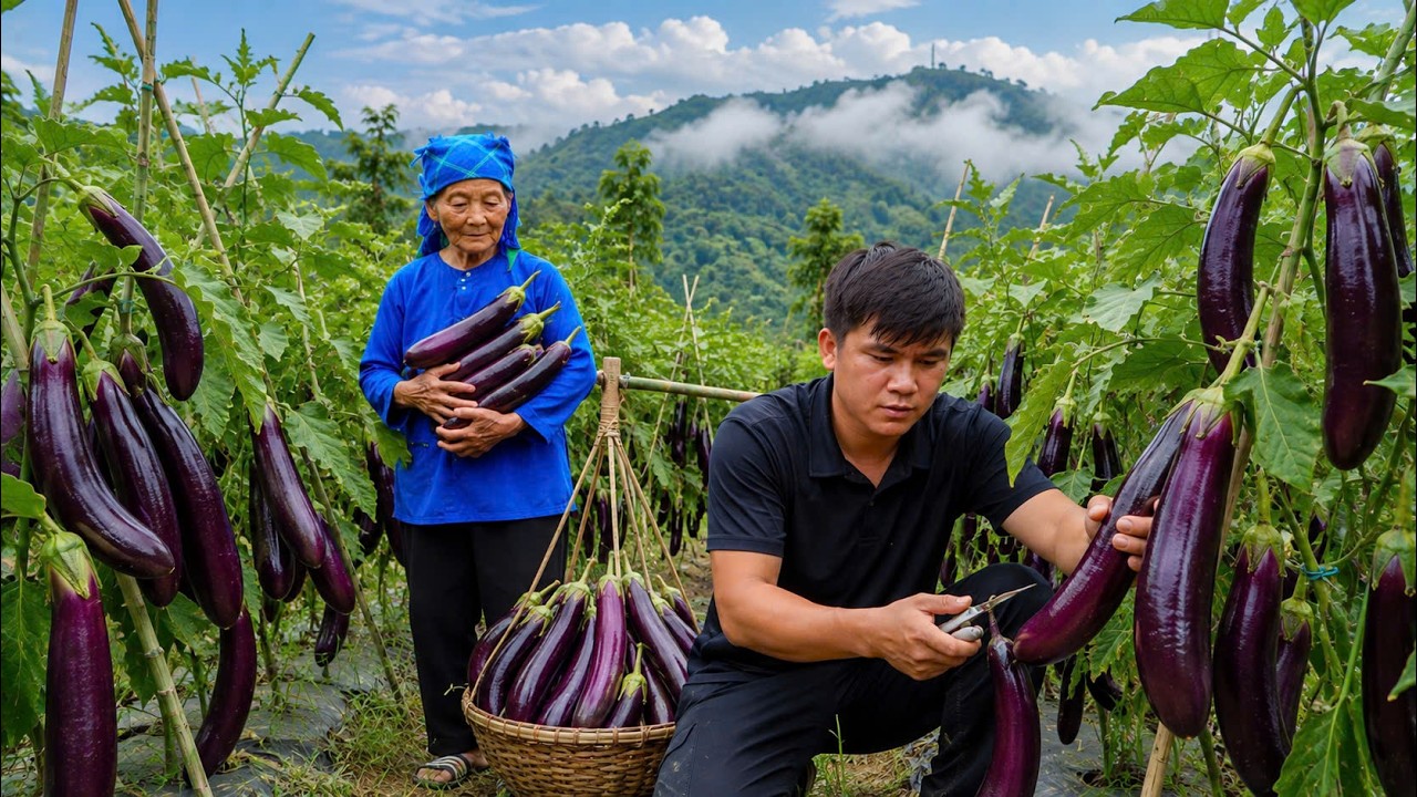 Harvesting Our Eggplant Garden &bull; Grandma Taught Me a Traditional Recipe That&rsquo;s Almost Forgotten