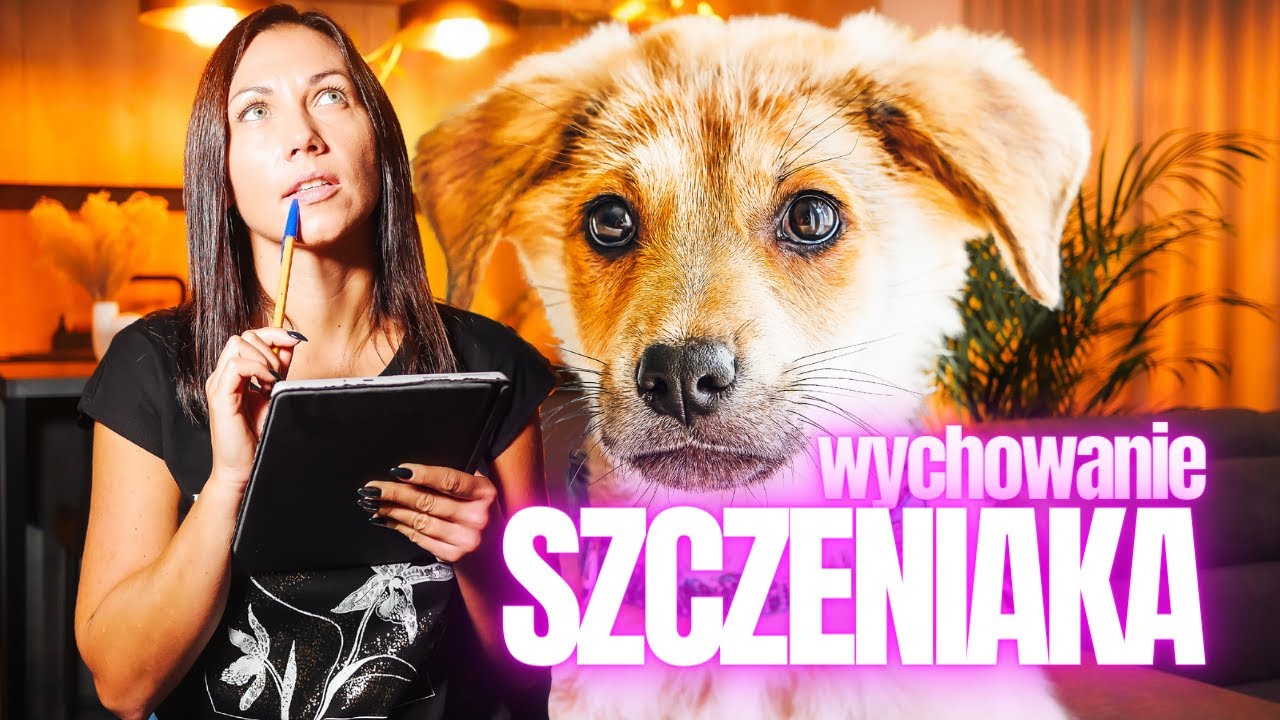 Wychowaj grzecznego SZCZENIAKA