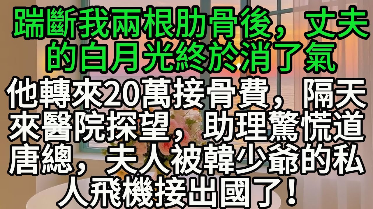 踹斷我兩根肋骨後，丈夫的白月光終於消了氣，他轉來20萬接骨費，隔天來醫院探望，助理驚慌道：唐總，夫人被韓少爺的私人飛機接出國了！