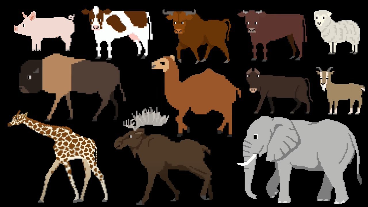 Even-Toed Ungulates - @TheKidsPictureShow