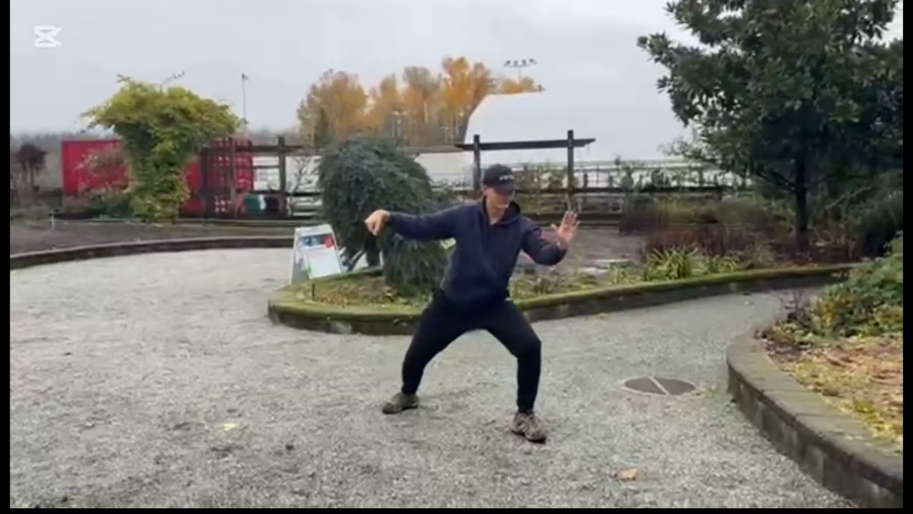 Taichi 6 Old Roads Training Sequence