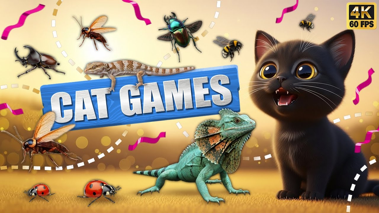 CAT GAMES 🐾3D Game for Cats | Video for Cats  – Ultimate CAT TV 