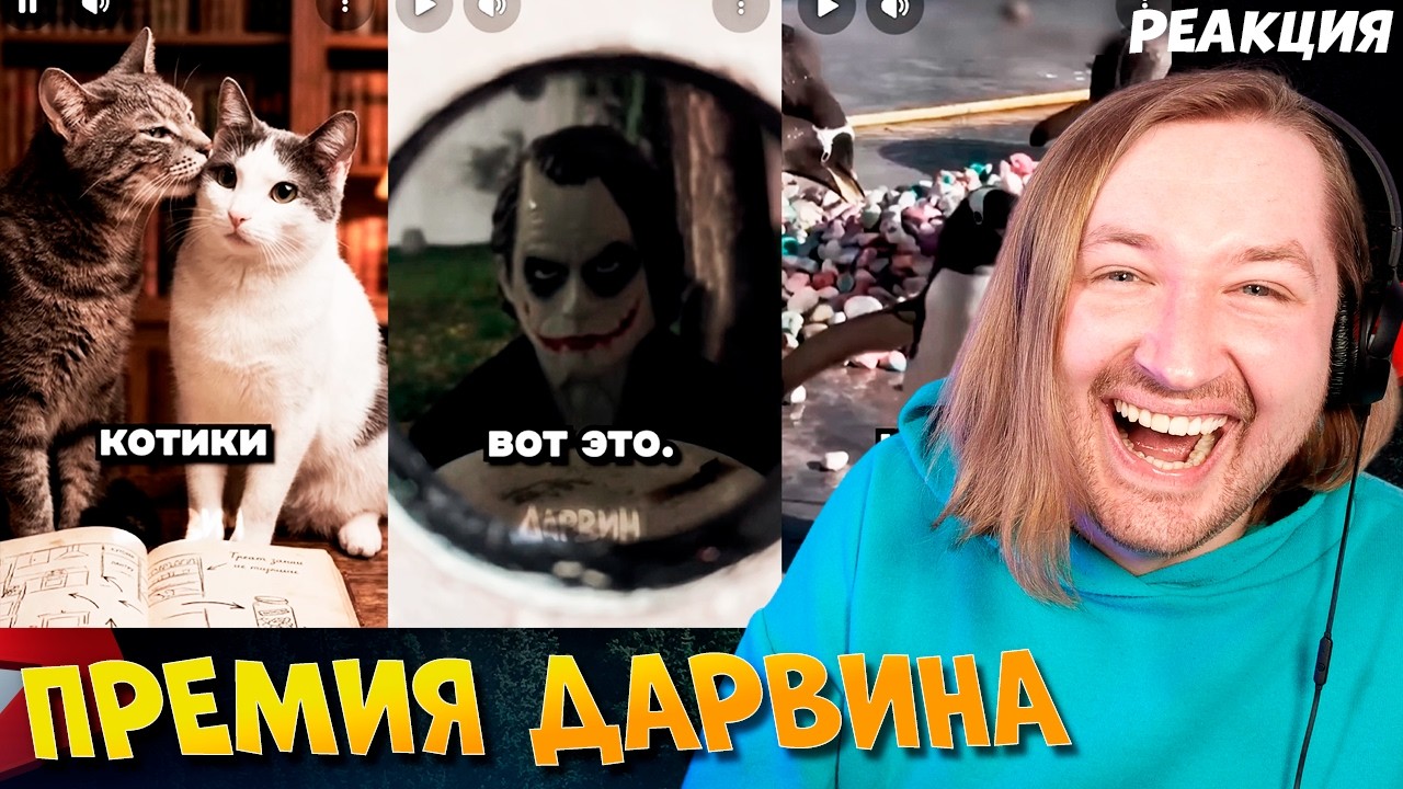 ТикТок и Шортc - ПРЕМИЯ ДАРВИНА - Милые истории про котиков (РЕАКЦИЯ) | ТипоТоп