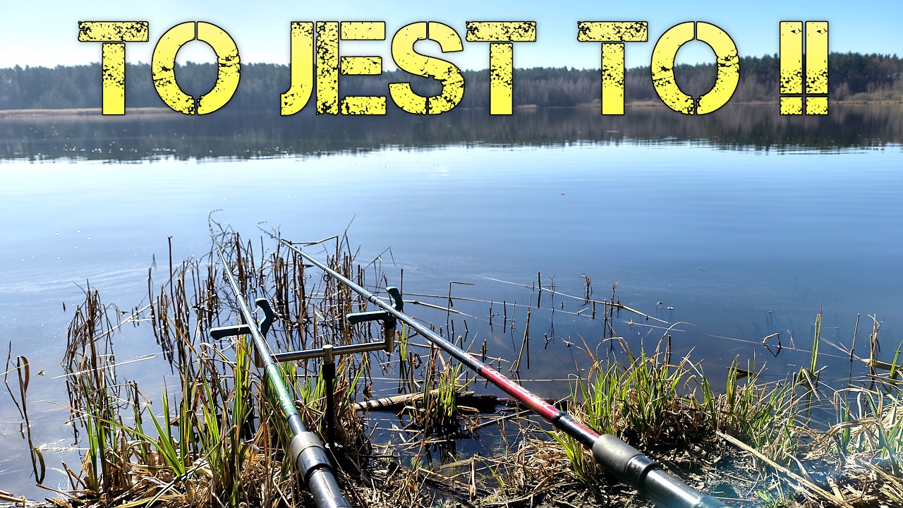Jeden Strzał Zmienił Wszystko !! Jedziemy Z Koksem !! Method Feeder Na Pzw !! Wędkarstwo !!