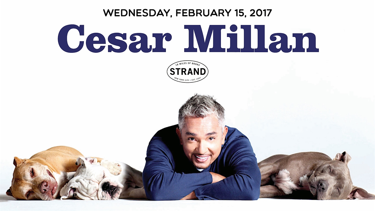Cesar Millan | Lessons from the Pack