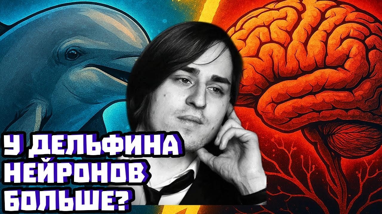 Почему EQ не работает: нейроны, дельфины и «ум» | Владимир Алипов