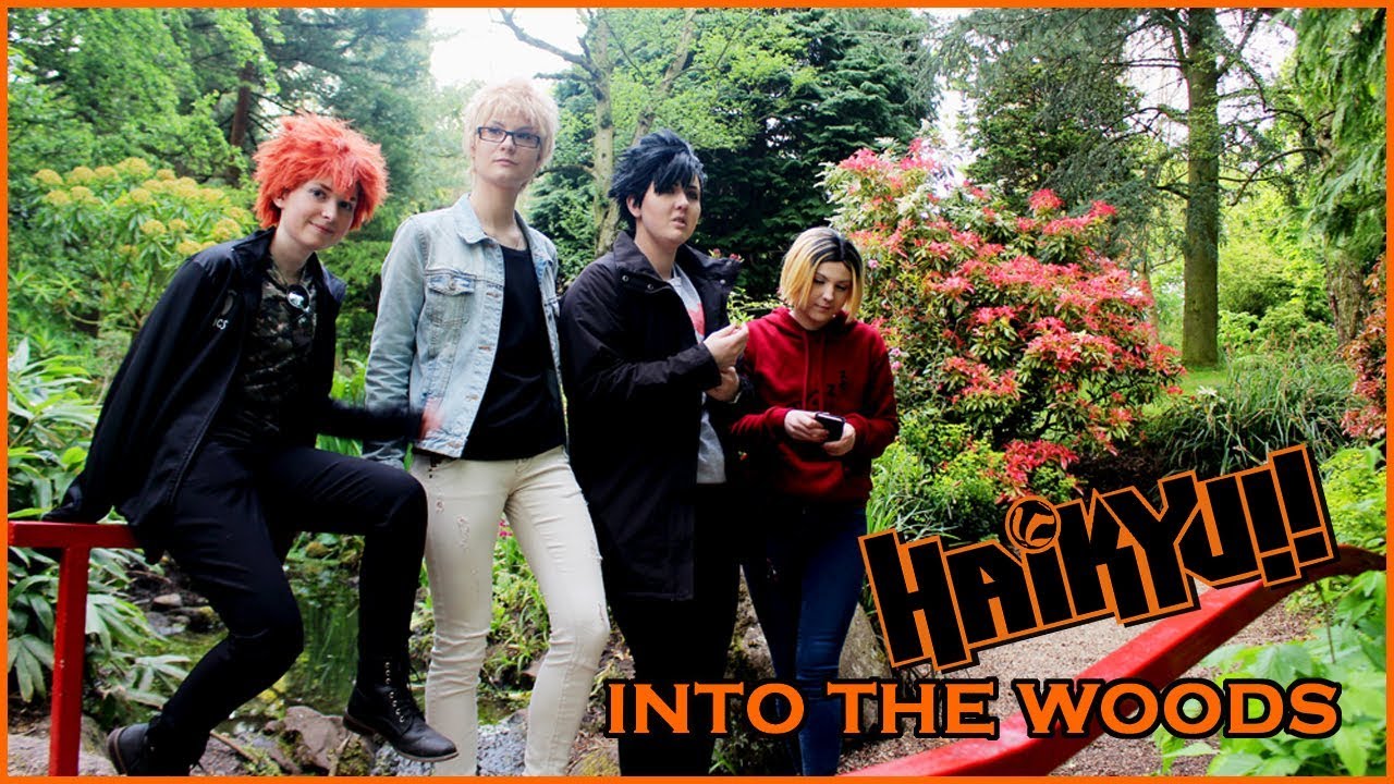 Haikyuu!! Into the Woods