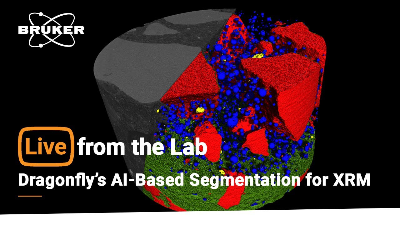 Live from the Lab: A Closer Look at Dragonfly’s AI-Based Segmentation for XRM