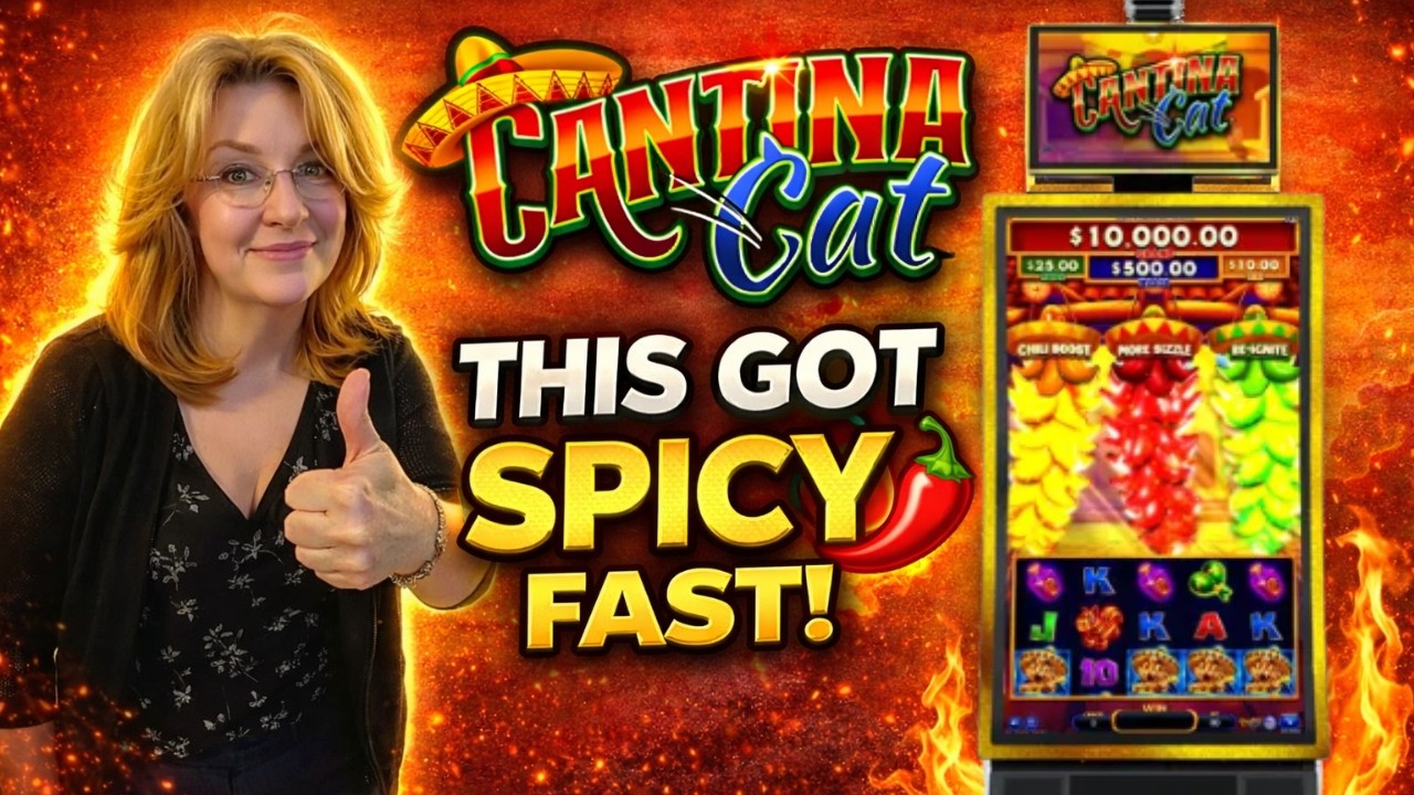 Кот из Chili Link Cantina... Это стало ОЧЕНЬ ОСТРЫМ 🌶️