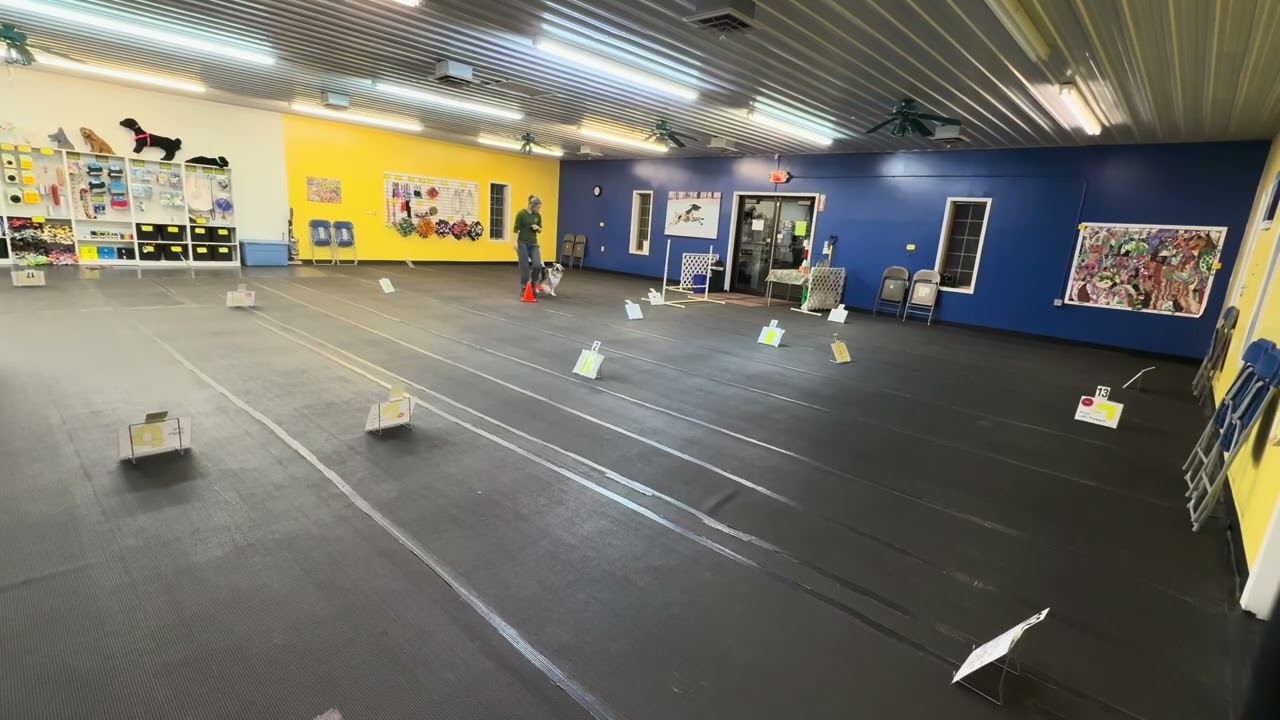 AKC Virtual Rally Advanced Course-2 Jive 1-14-2026
