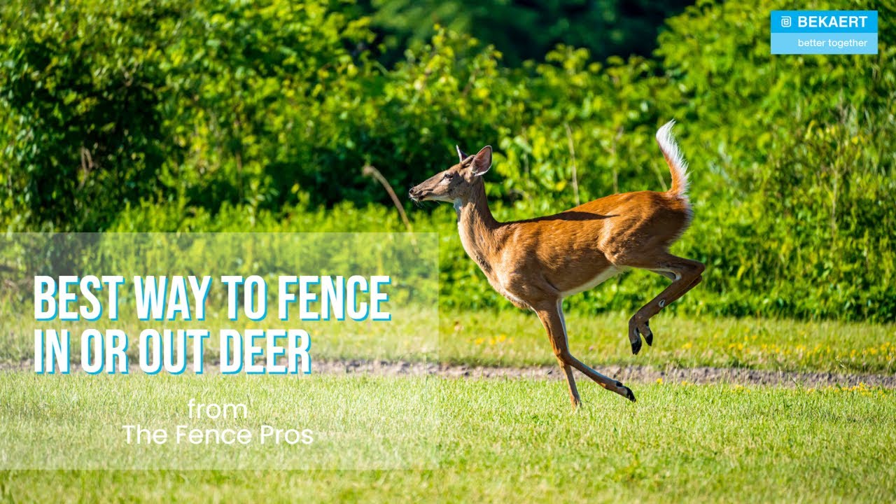 Learn the BEST Fencing in or out deer