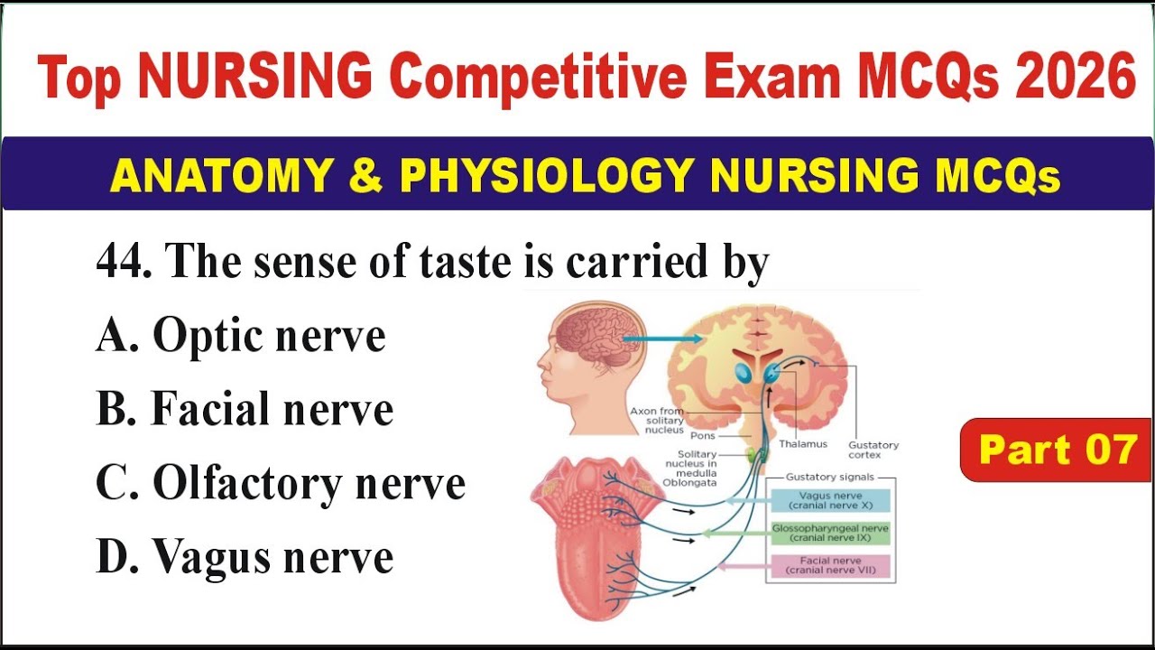 Top Nursing Competitive Exam MCQs 2026 | Anatomy & Physiology Nursing MCQs | RRB, AIIMS, BSc Nursing