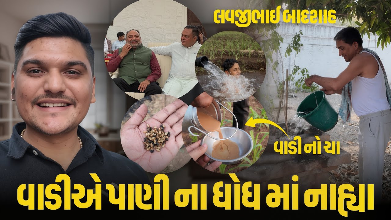 વાડી ટ્રિપ Vlog: ધોધમાં ન્હાવું + વાડીની ચા ☕️❤️ અને લગ્નમાં મળ્યા થઇ લવજીભાઇ બાળશાહ 🙌🏻 | Nyn Vlogs 