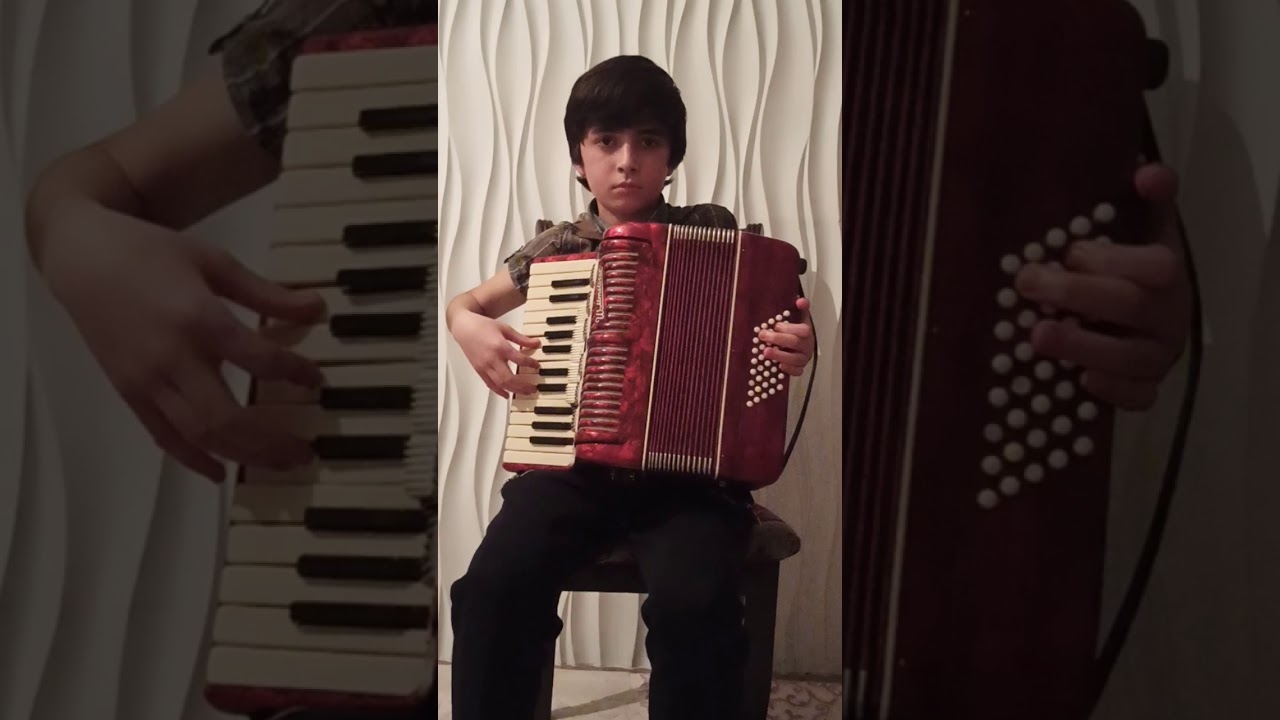 Melody from the song Ahmad Zahir: Bonu. Accordionist Abdullo.