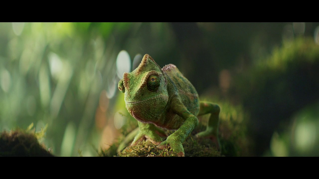Berocca Chameleon dancing to Panjabi MC - Be More Berocca Ad : Berocca
