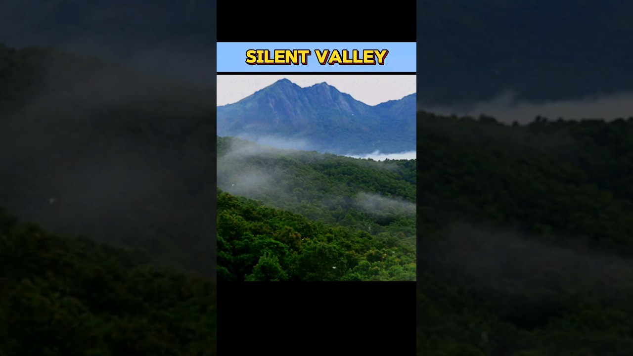 SILENT VALLEY #silentvalley || WHAT IS SILENT VALLEY #silentvalleymovement#kerala #shorts#viral