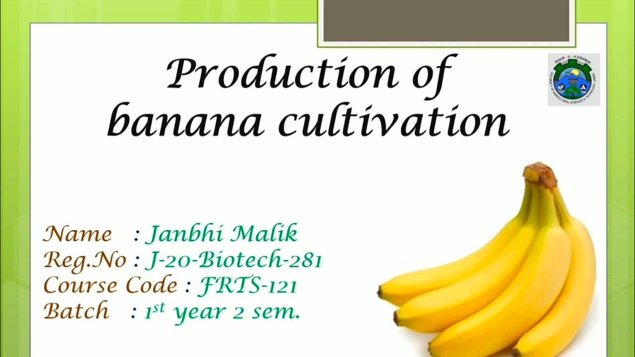 Production Technology of Banana by Janbhi Malik #FRTS121