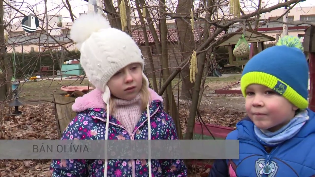 Fontos gondját viselni az itthon telelő madaraknak