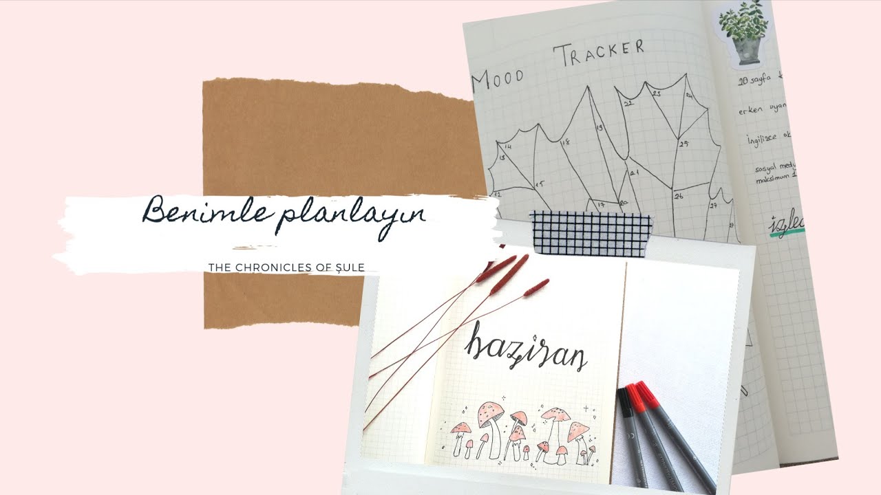 Türkçe Bullet Journal [HAZİRAN]