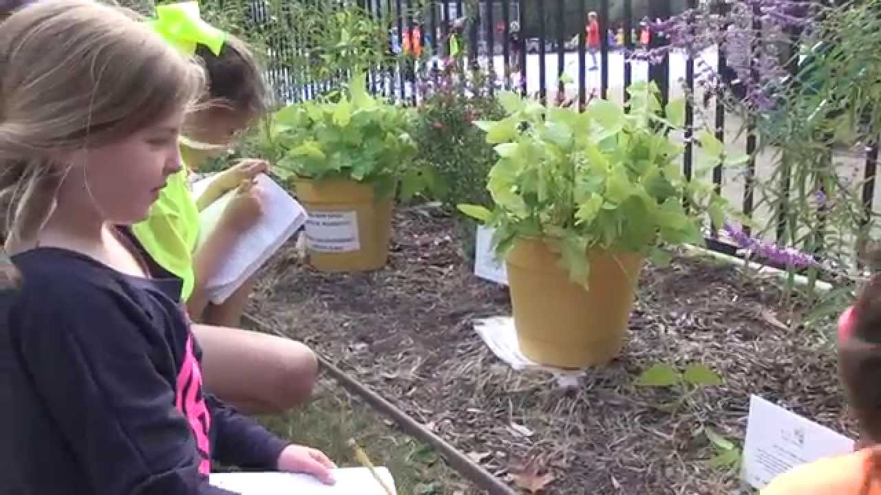 Education blossoms in elementary outdoor learning spaces