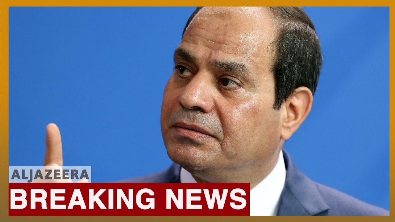 Egypt In rare protests, Egyptians demand President el-Sisi's removal
